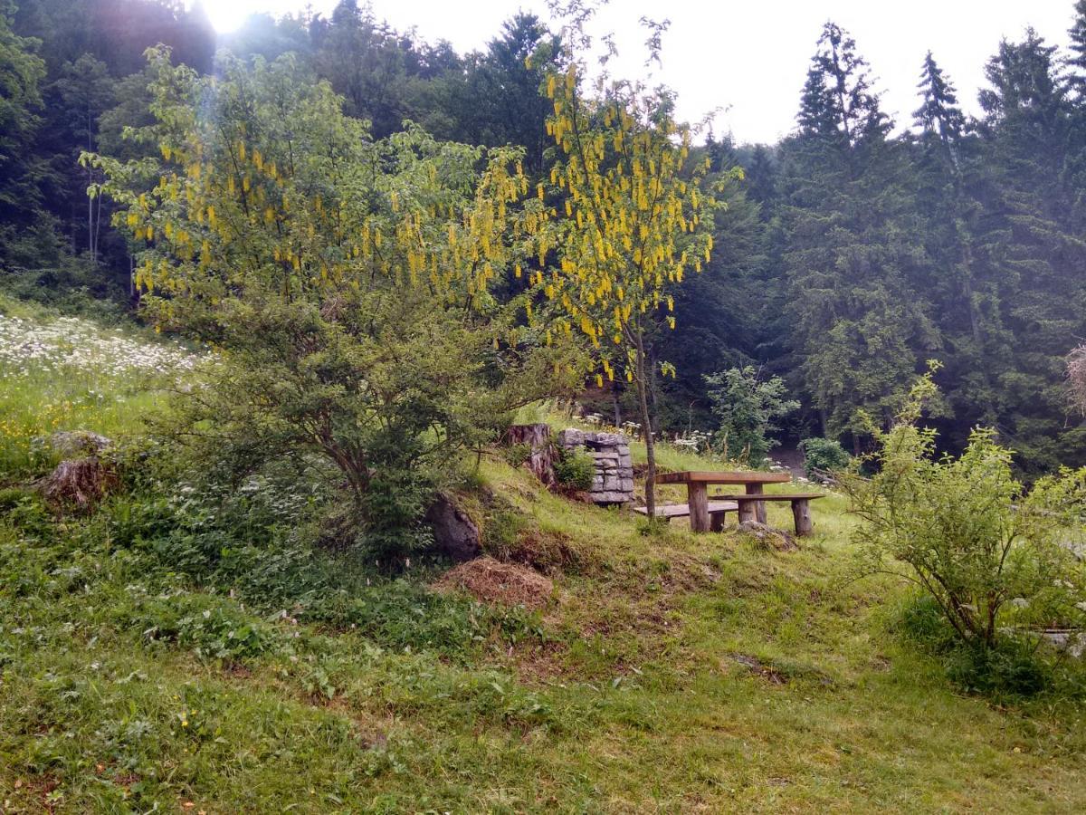 Willa Agritur Manoncin Daone Zewnętrze zdjęcie