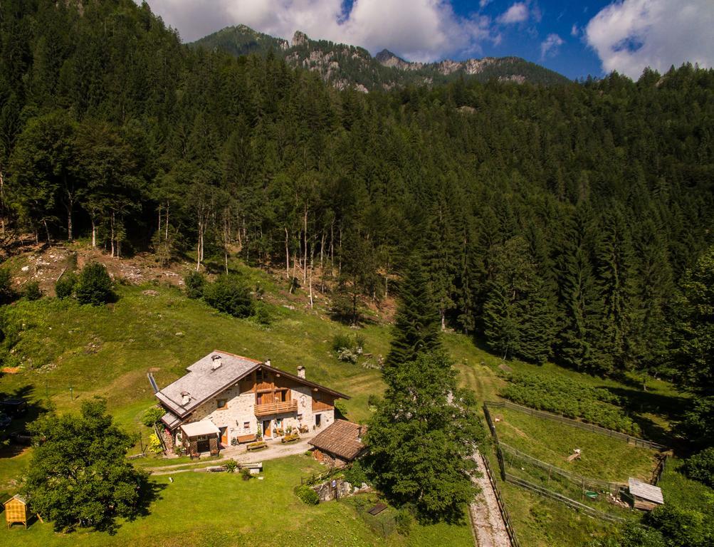 Willa Agritur Manoncin Daone Zewnętrze zdjęcie