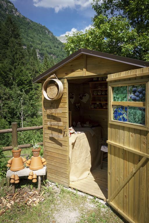 Willa Agritur Manoncin Daone Zewnętrze zdjęcie