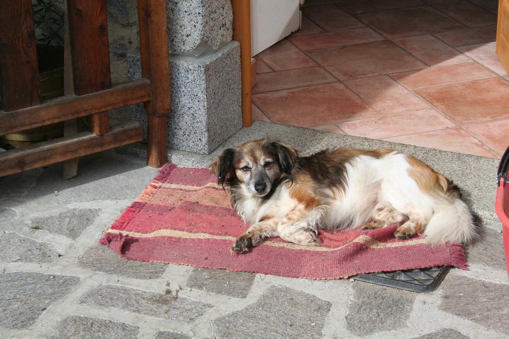 Willa Agritur Manoncin Daone Zewnętrze zdjęcie
