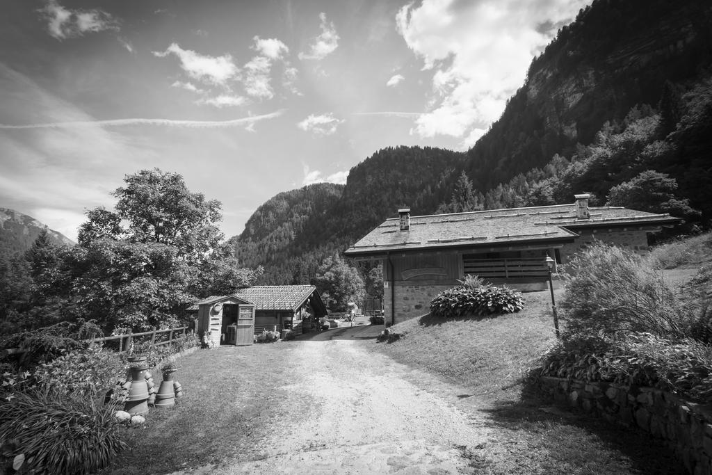 Willa Agritur Manoncin Daone Zewnętrze zdjęcie